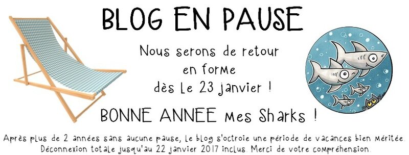 blog en pause