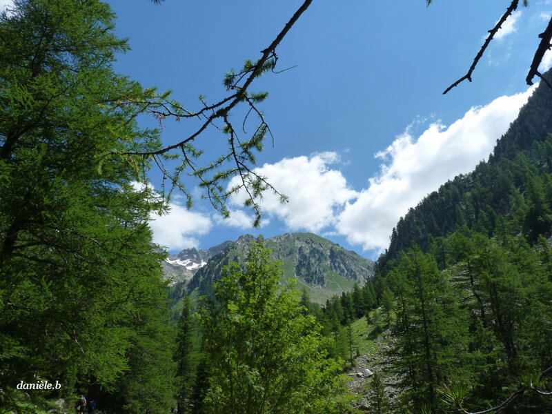 P1130287 - Copie