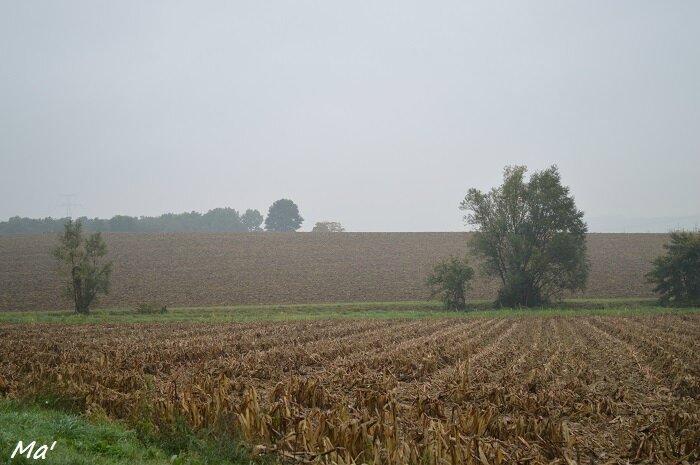 151013_matin_automne