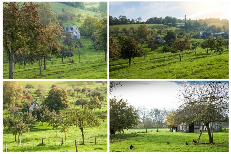 Paysages du Pays d'Auge 2