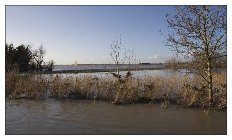 Aiguillon inondation pre herbe barbeles 280210