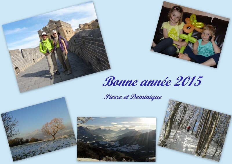 voeux 2015