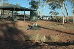 Voiture_de_location_couchage___la_belle__toile_Northern_Territory_Australie
