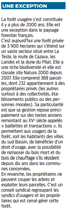 2022 05 13 forêt usagère2