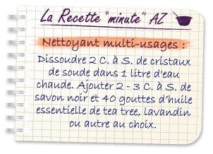 recette_cristaux-soude-multi-usage