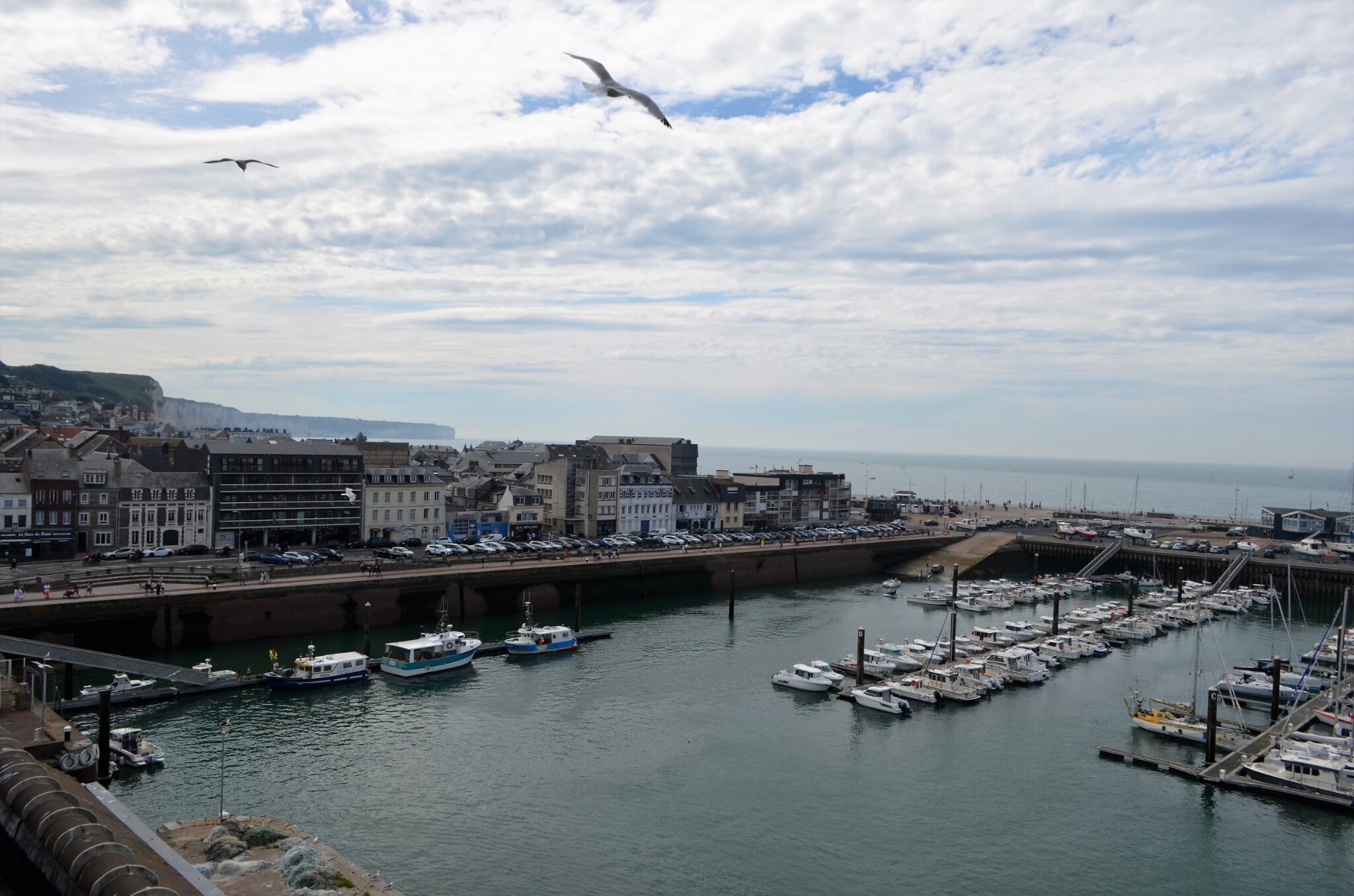 DSC_0039 (2)