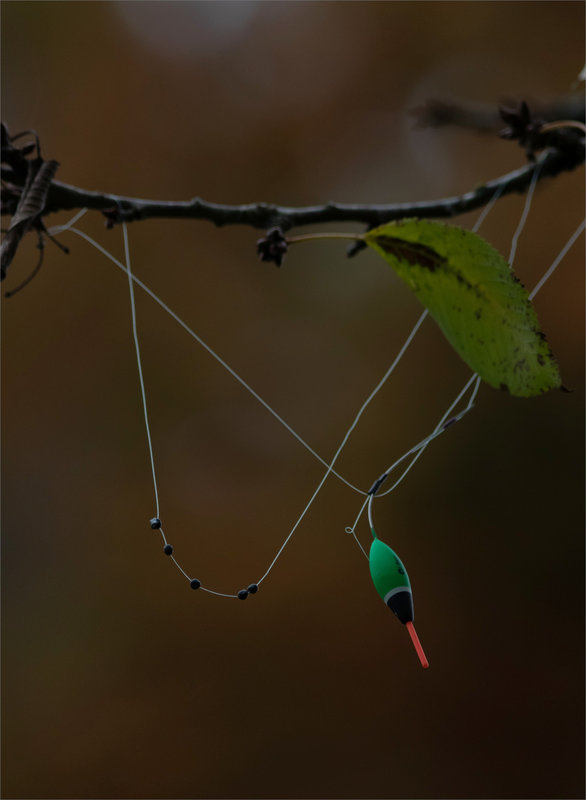 Bouchon pêche branche 1 151121 ym
