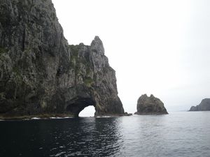 Hole in the Rock - Bay of Islands