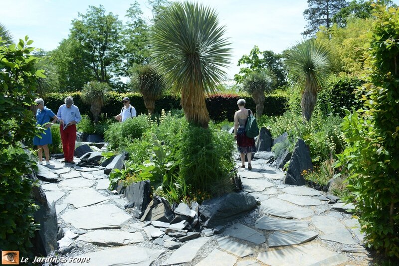 18-Le-jardin-des-émergences