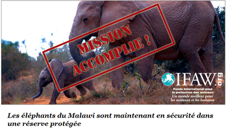 mission_accomplie