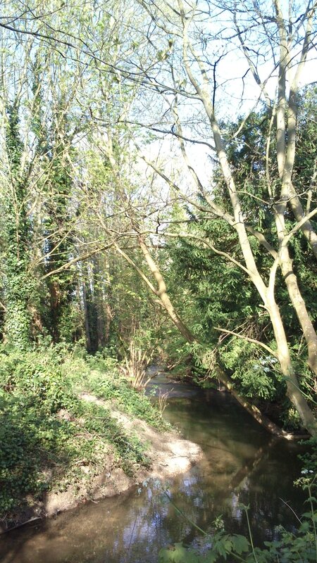 Abingdon Ock Valley River Walk