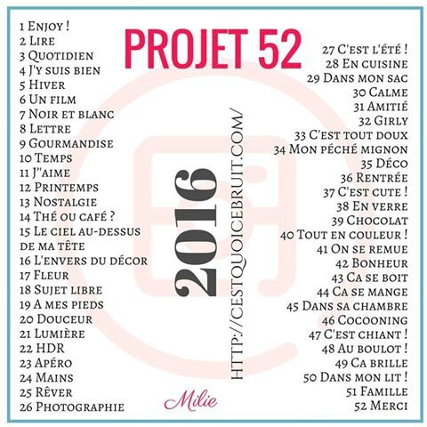 thème#2016projet52