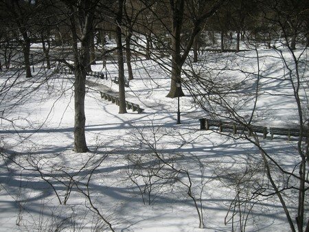 Central_Park_Snow__1_