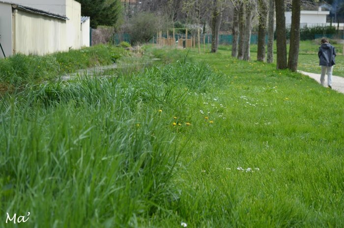 150329_canaux_chateauvert1