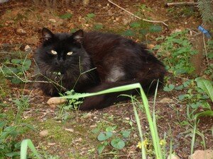Copie_de_blog_Val_rie_032