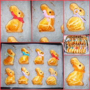 lapins_suisses_3