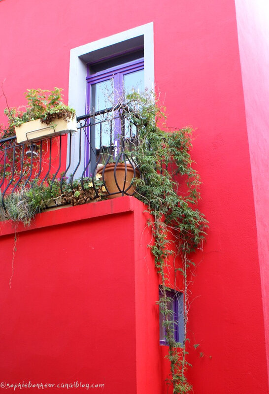T rouge