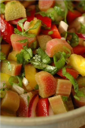 Salsa_de_rhubarbe___poivrons_2