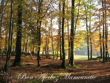 Bretagne novembre 2012-2 001