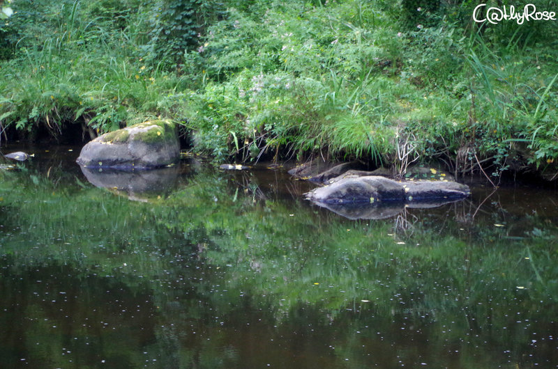 && vallée du Léguer (1)