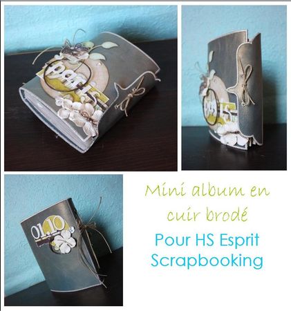 sneak_peak_mini_album_cuir_brod_