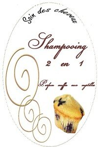 shampooing_2en1