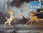 bambi_photo_france_1970s_2