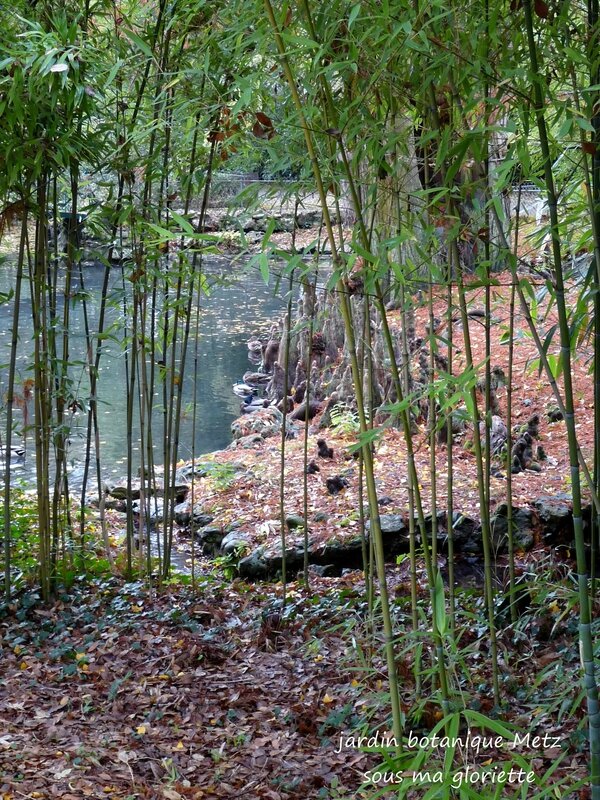 jardin botanique27