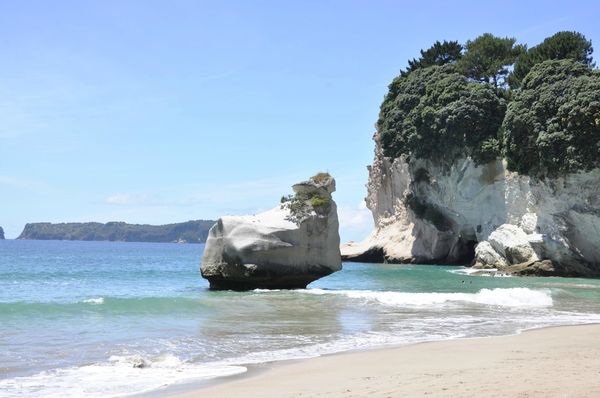 New Zealand - 0233