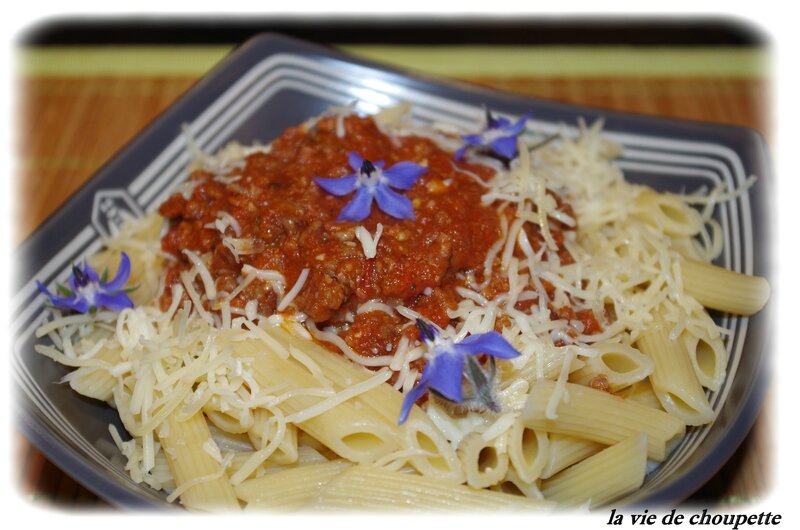 spaghetti bolo-7