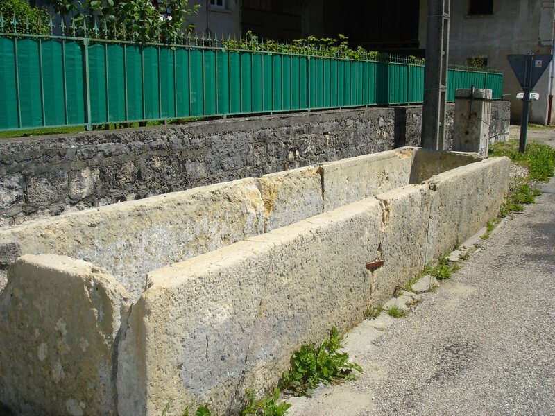 DSC03365