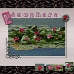 Nenuphars