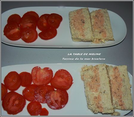 Terrine aux deux poissons 007