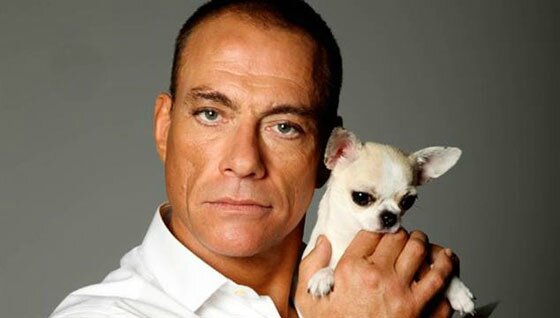 jean claude va damme