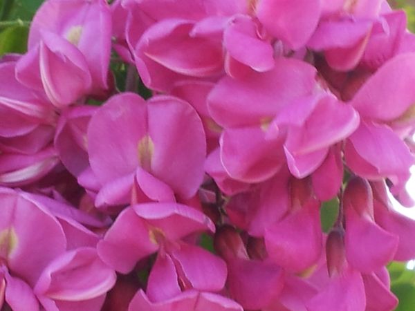 20130512_160930