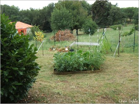 Potager_25_07_10