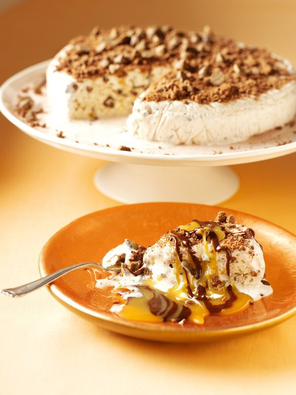 ice-cream-cake-5630ec9213e5c