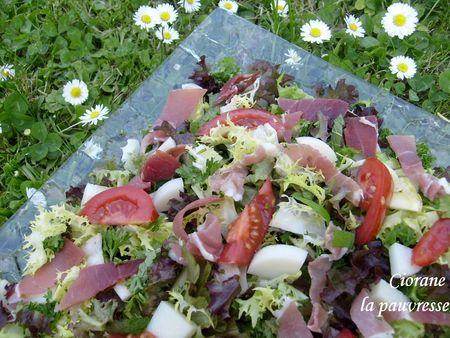 salade_herbe