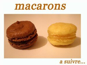 macaron_choco_citron