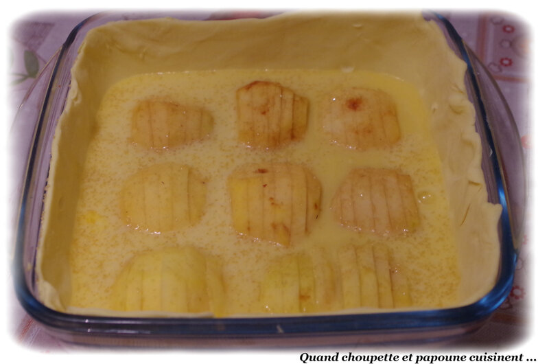 tarte aux pommes fossile-7315
