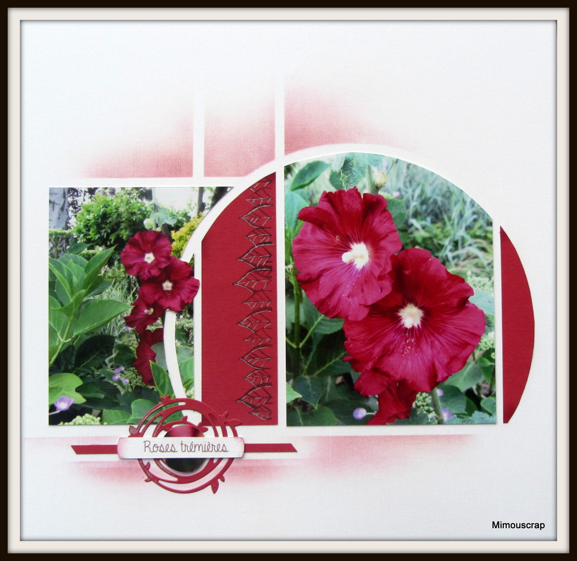 Jardin 2016 077