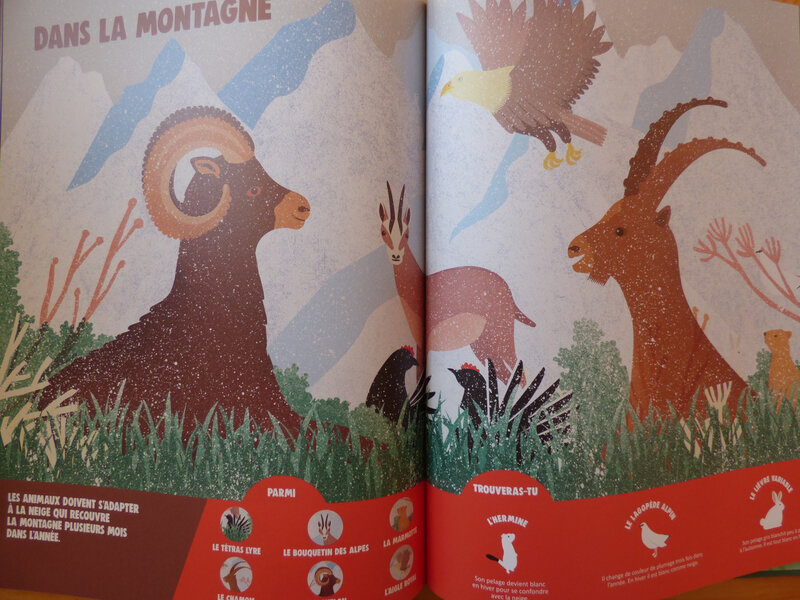 Camouflés, cherchés, trouvés (2)