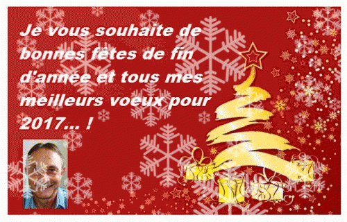 Voeux 2017