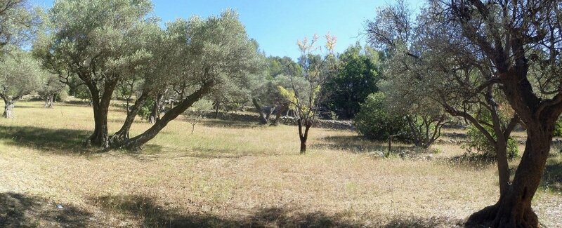 4-route forestière du Siou blanc (8)