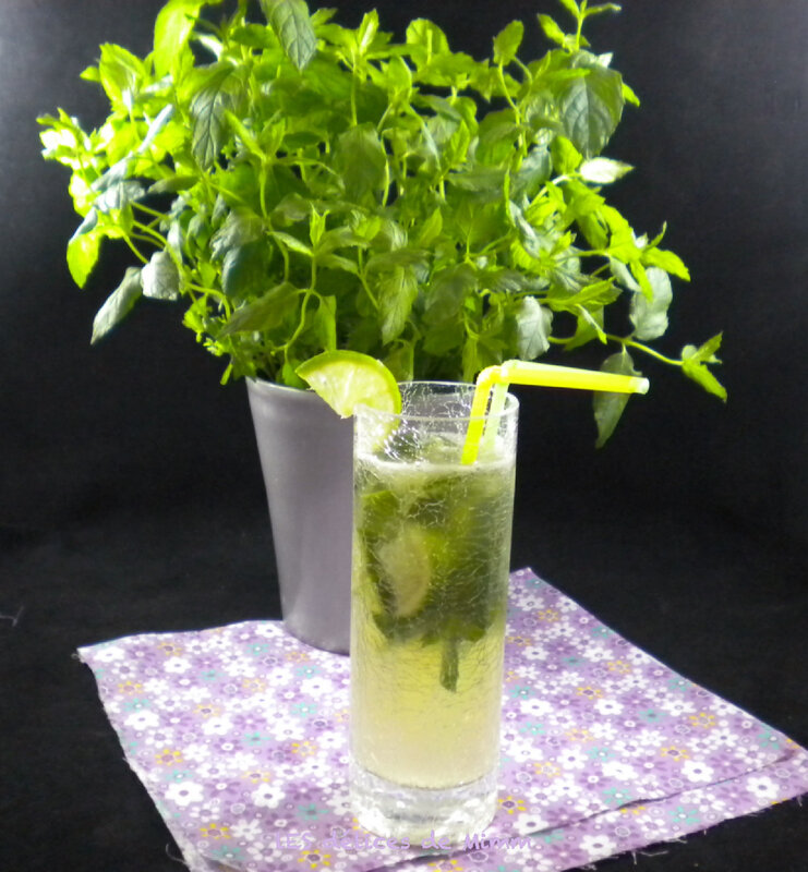 Virgin mojito à consommer sans modération 4