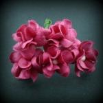 fleurs-de-guimauve-fuschia