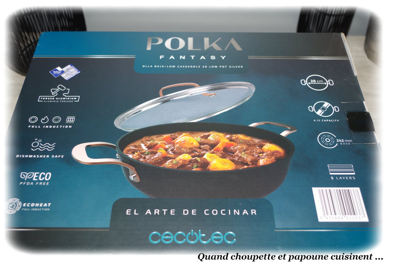 polka fantasy cecotec-1439