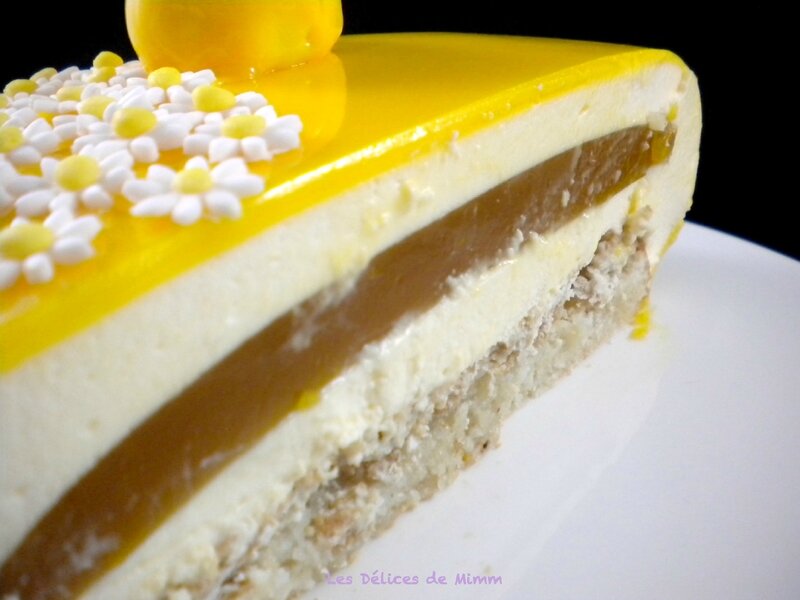 Entremets Soleil de Malibu 4