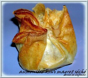 recettes plats Aumonière Magret Séché , Kiwi et Fromage de Chèvre