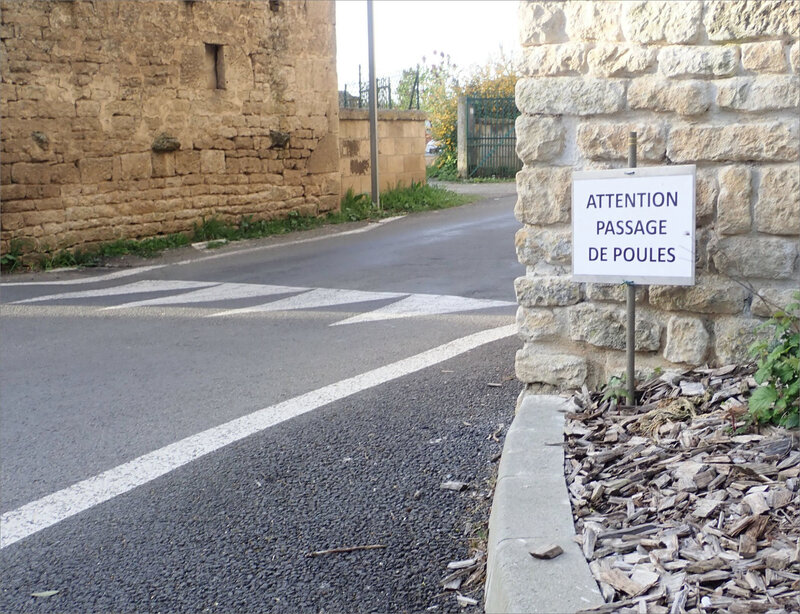 Villiers panonceau attention poules 170419 2